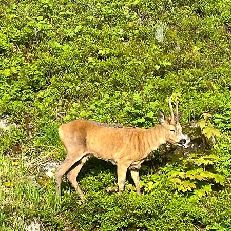 Villa Idyllic Sea View House